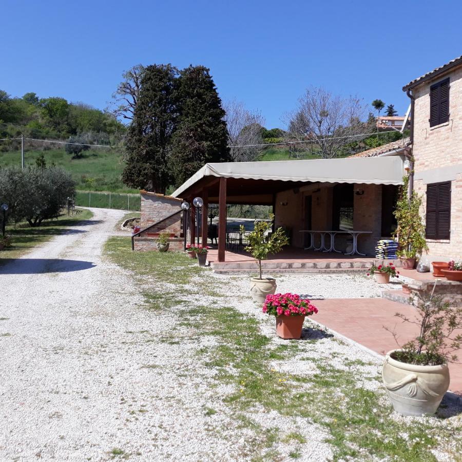 La Collina Sul Mare Bed and Breakfast Marina Palmense Eksteriør billede