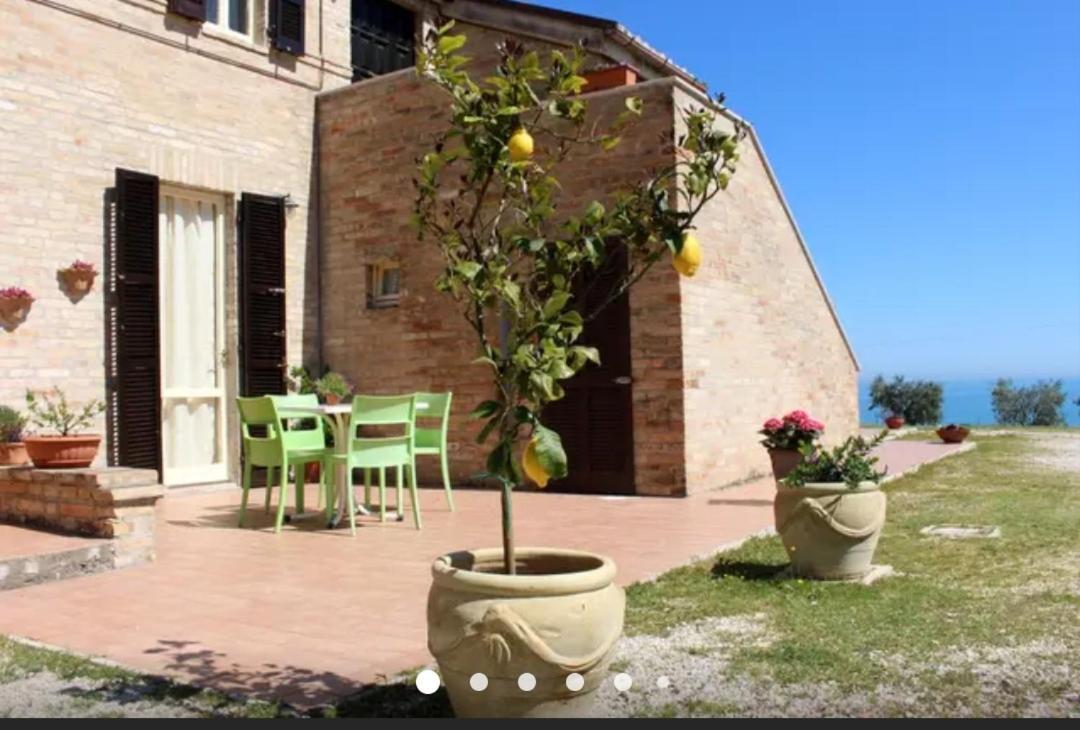 La Collina Sul Mare Bed and Breakfast Marina Palmense Eksteriør billede